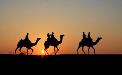 Rajasthan Camel Safari
