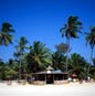 North India Tour with Goa