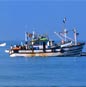Goa Travel Package